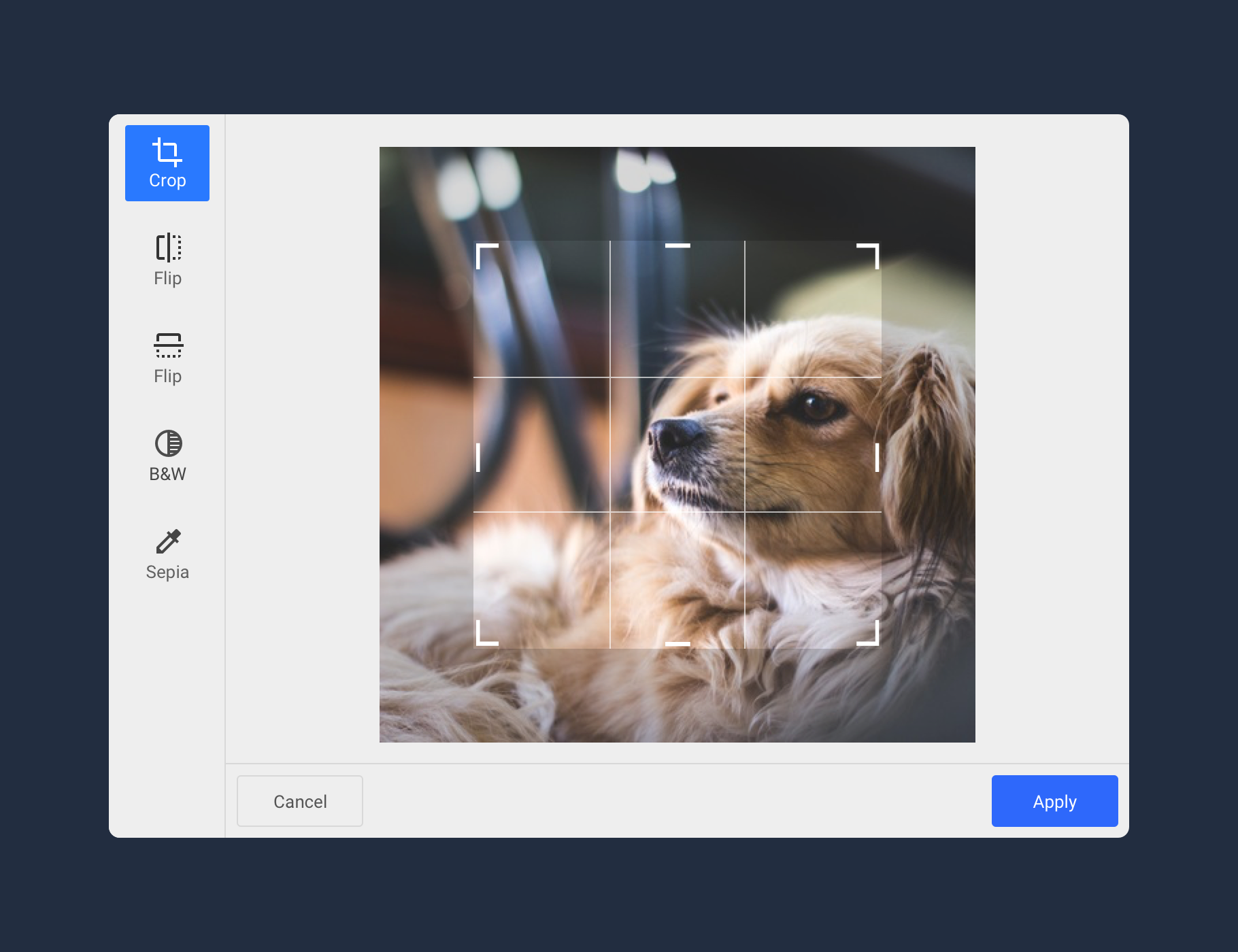 Transformation UI within Dialog Window
